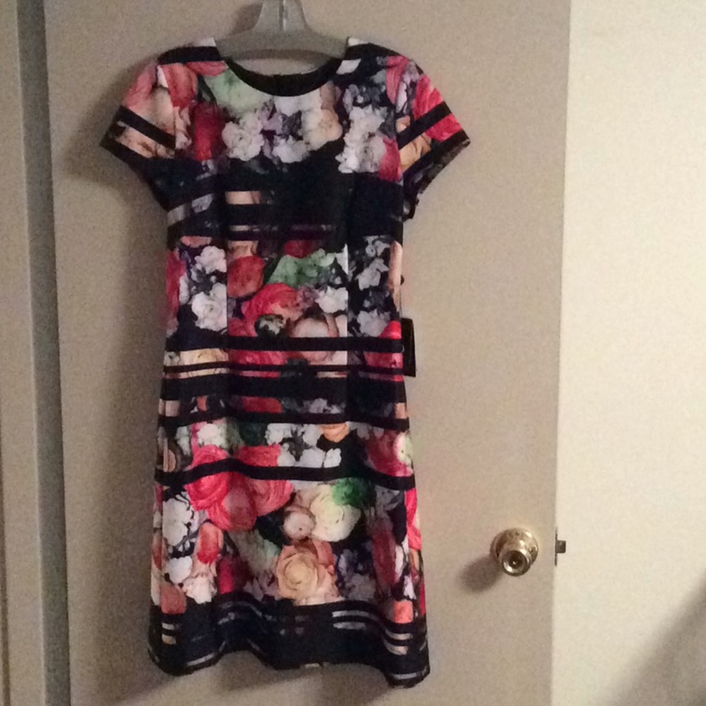Dress- Adrianna Papell